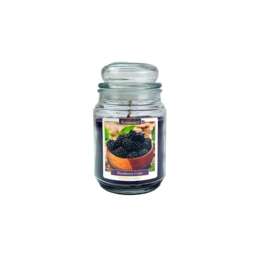 Aromance Blackberry Scented Jar Candle 18oz