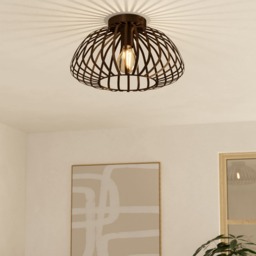EGLO Espinal Bronze Steel Caged Style Contemporary Ceiling Light