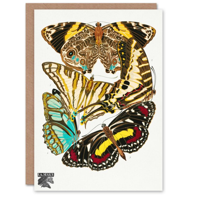 Eugene Seguy Art Card Papillons Butterflies Vintage