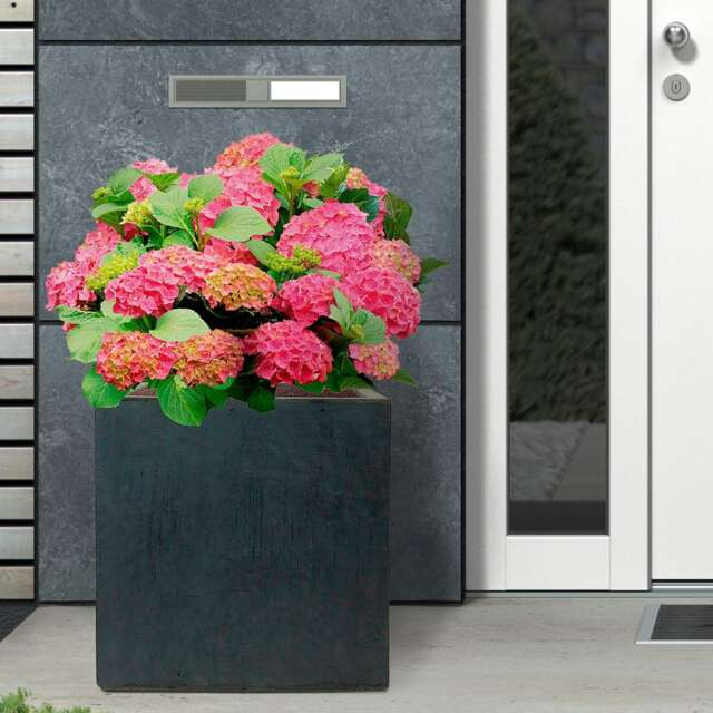 Square Box Faux Lead Light Concrete Garden Planter H40 L40 W40 cm, 65 ltrs Cap.
