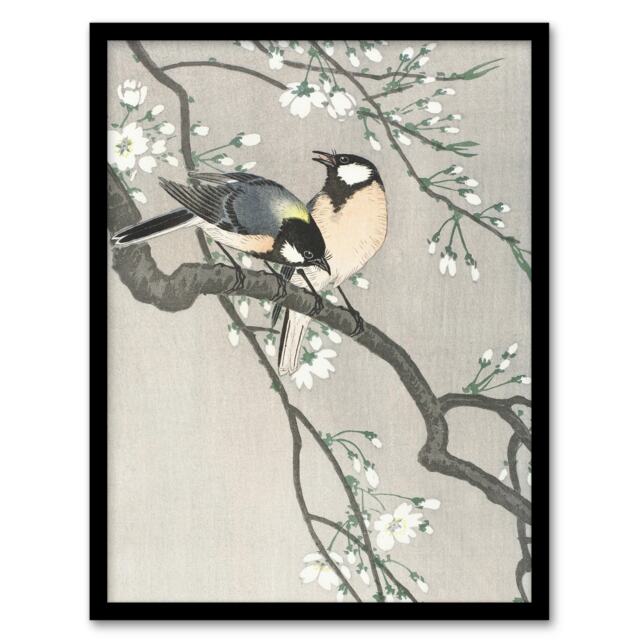 "Tits On Blooming Cherry tree Vintage Japan Framed Wall Art Print Koson 12x16"""