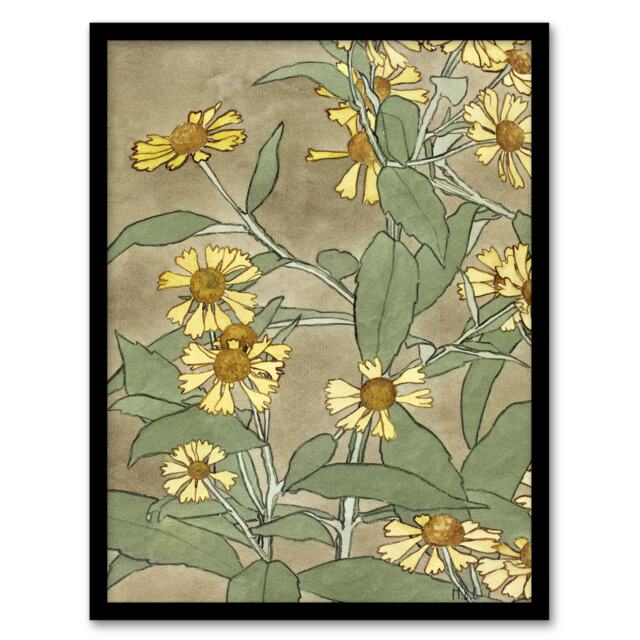 "Daisies with Yellow Petals Framed Wall Art Print Hannah Borger Overbeck 12x16"""