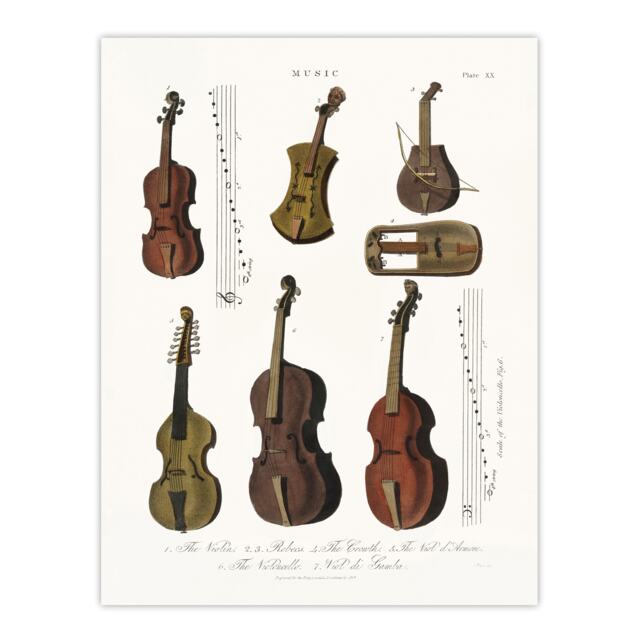 "Violin Viola Cello Encyclopedia Londinensis Huge Wall Art Poster Print 24X32"""