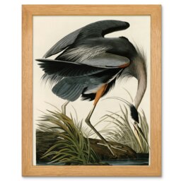 John James Audubon Great Blue Heron Wood Framed Wall Art Print