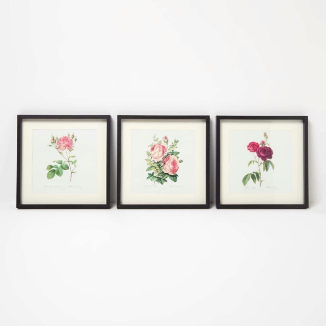 Homescapes Wall Decoration Set of 3 Frames with Picture, Roses