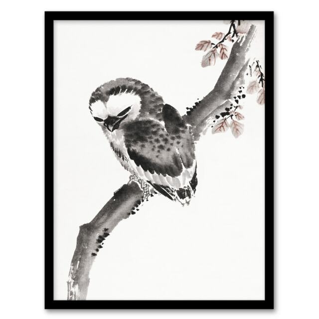 "Owl 1841 Album Of Sketches Japanese Framed Wall Art Print Hokusai 12x16"""
