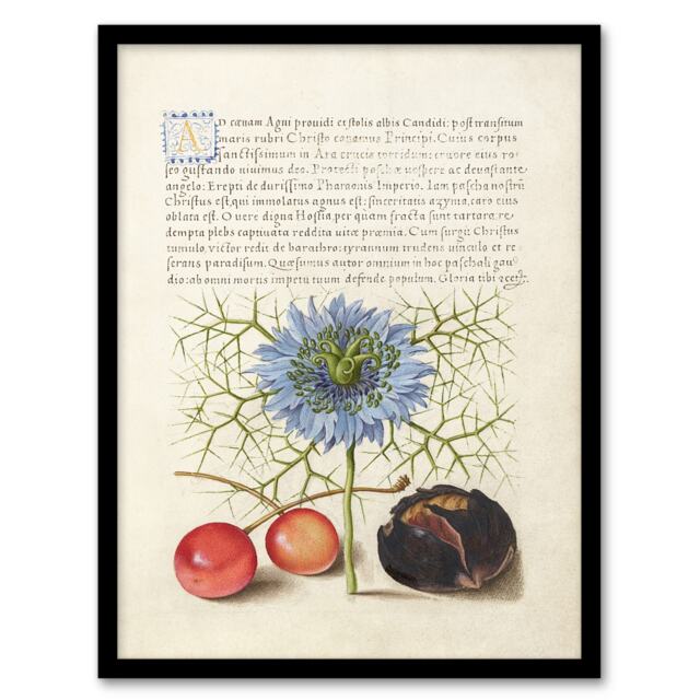 Model Book of Calligraphy Framed Wall Art Love in a Mist and Cherries Home Décor