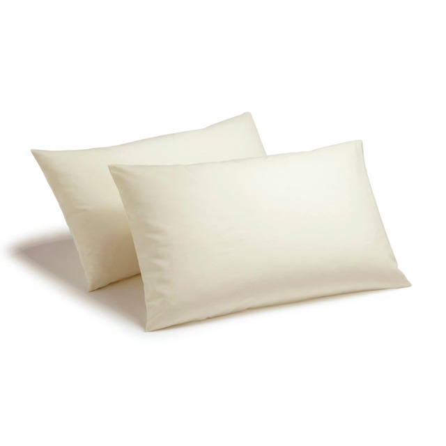 Charlotte Thomas Poetry Polycotton Housewife Pillowcase Pair Ivory - 50 x 75cm Cream Ivory