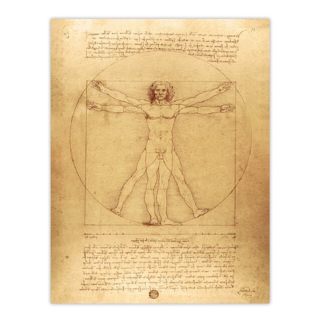 "Vitruvian Man Drawing da Vinci Vintage Wall Art Poster Print 12X16"""