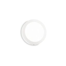 Universal LED 1 Light Indoor Small Flush Light White