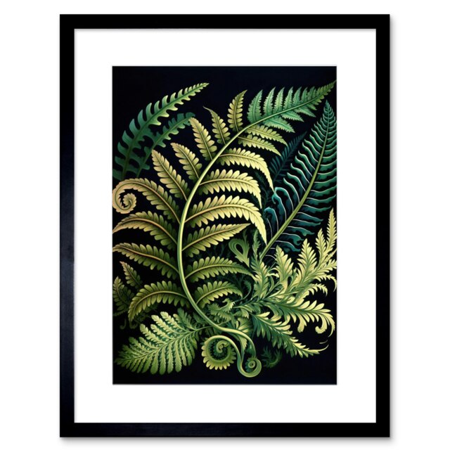 "Ernst Haeckel Style Fern Fronds Leaf 9x7"" Black Framed Wall Art Print"
