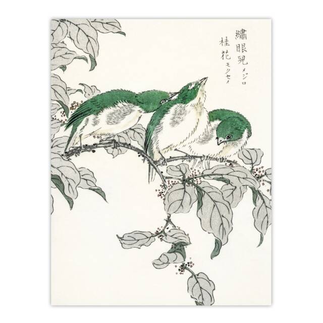"White Eye and Osmanthus Japanese Japanese Wall Art Print Kashu 18x24"""