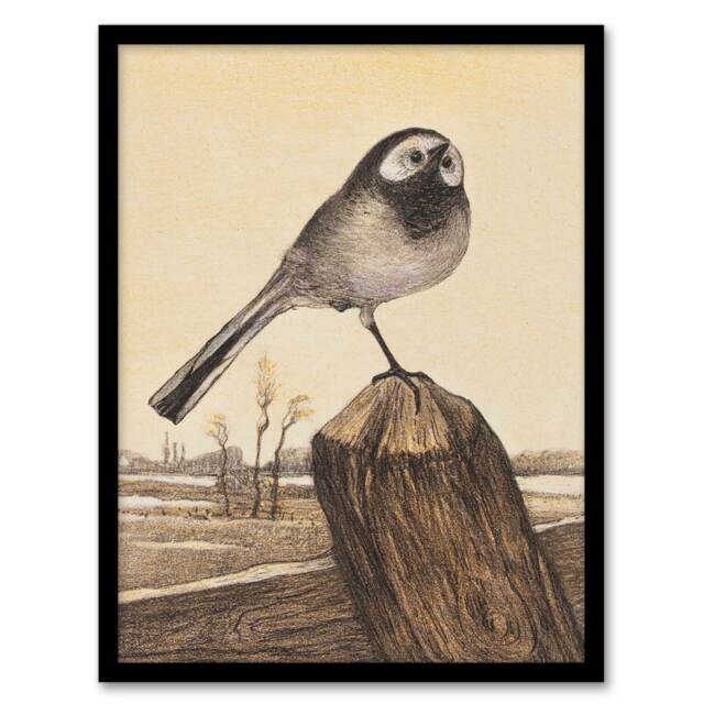 Theo van Hoytema Framed Wall Art Print Wagtail Bird Perched on Pole Home Décor