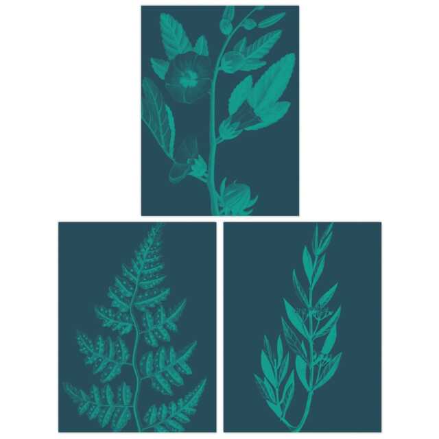 Set of 3 Teal Turquoise Leaves Plant Frond Tree Blooms Botanical Wall Art Print A4