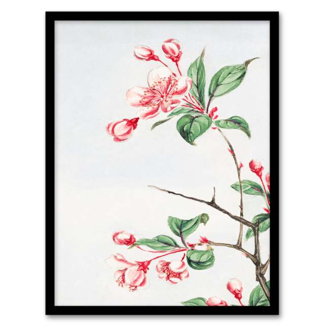 Megata Morikaga Framed Wall Art Print Kaido Crabapple Flower Bloom Home Décor
