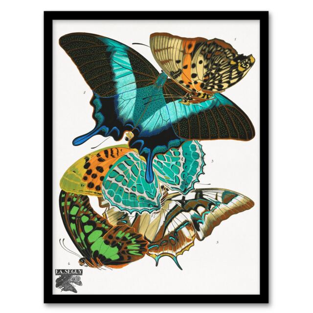 Eugene Seguy Framed Wall Art Print Vintage Colourful Butterflies Home Décor
