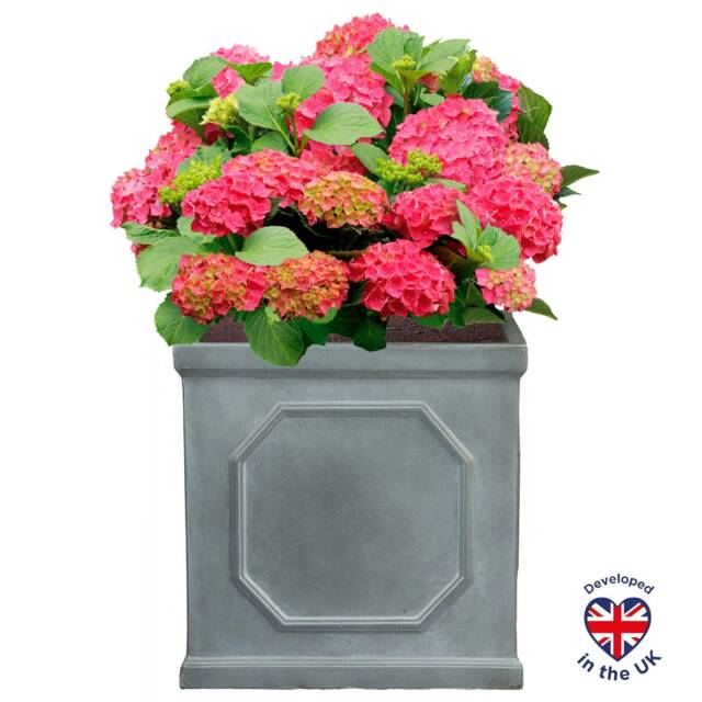 Faux Lead Chelsea Box Square Grey Light Stone Garden Planter W37 H38 L37 cm, 52 ltrs Cap.