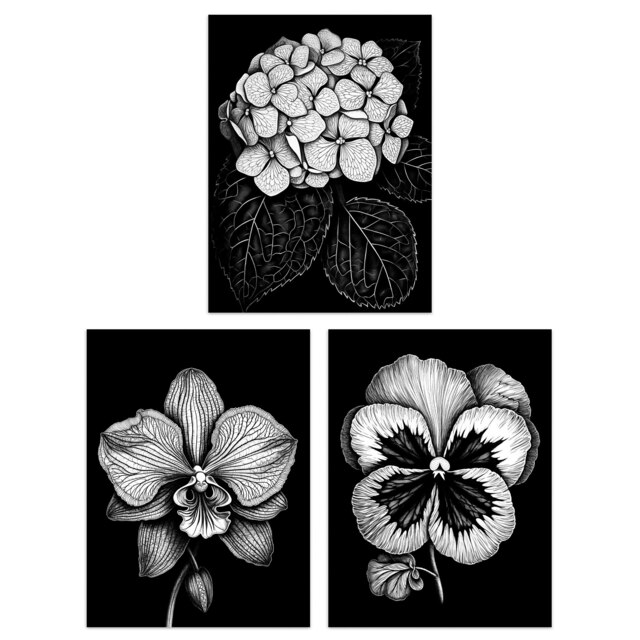 Set of 3 Elegant Single Hydrangea Orchid Pansy Flowers Floral Black White Home Decor Artwork Wall Art Prints 12X16 Inch