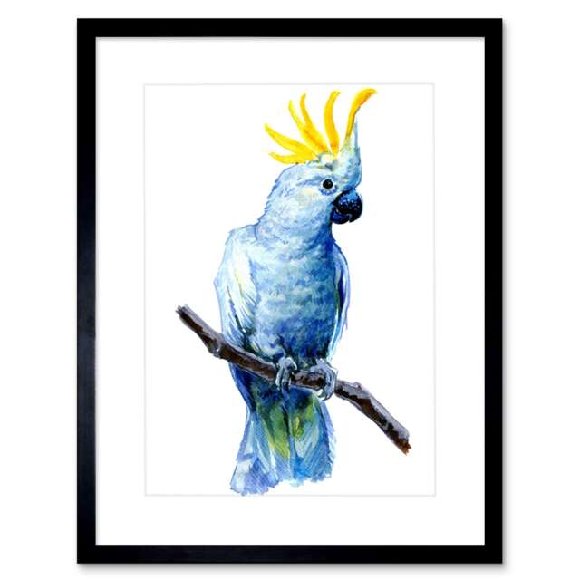 "Cockatoo Parrot Bird Animal Watercolour Painting 9x7"" Black Framed Wall Art Print"