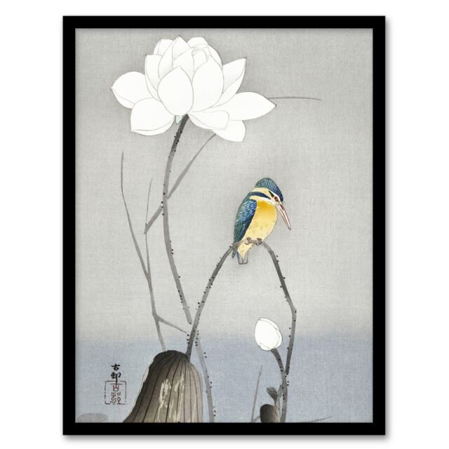 "Kingfisher With Lotus Flower Vintage Japan Framed Wall Art Print Koson 12x16"""