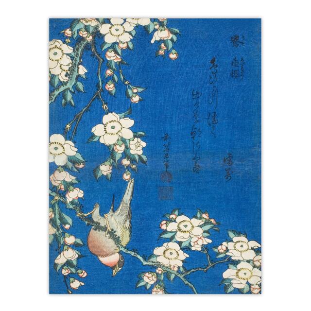 "Bullfinch Weeping Cherry Blossoms Japanese Wall Art Print Hokusai 24x32"""