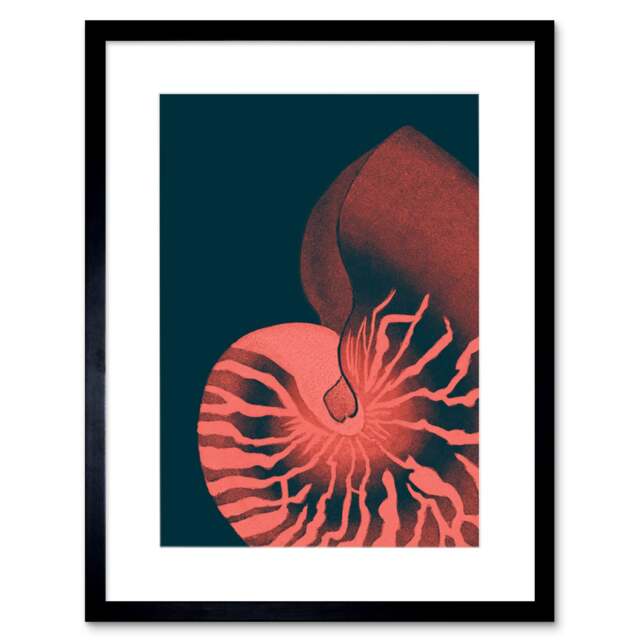 "Modern Pink Blue Ammonite Bathroom 9x7"" Black Framed Wall Art Print"