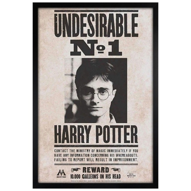Black Wooden Framed Harry Potter Undesirable No 1 61 x 91.5cm Maxi Poster Multi