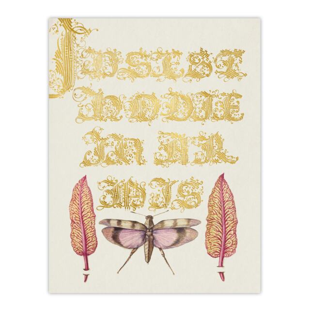 "Chard and Red Winged Grasshopper Calligraphy Wall Art Poster Print 12X16"""