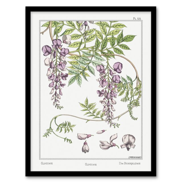 Maurice Pillard Verneuil Framed Wall Art Print Wisteria Flower Home Décor