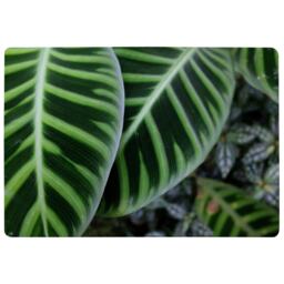 Yellow Structure In Exotic Jungle Setting Designer Rug Multi