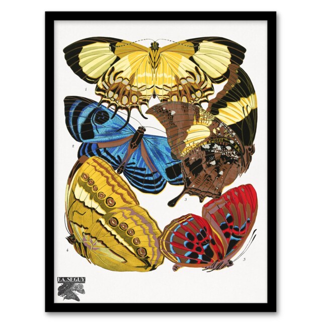 Eugene Seguy Framed Wall Art Vintage Butterflies Yellow Red Blue Home Décor