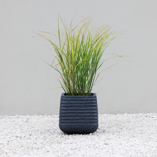 Primrose Square Ridged Outdoor Planter Garden Flower Pot In Black 28cm