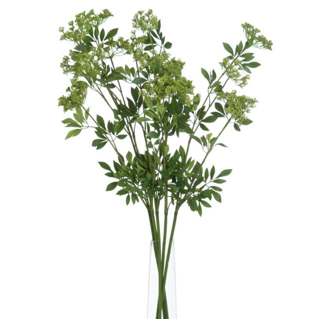 Hill Interiors Faux Ammi - Green - One Size