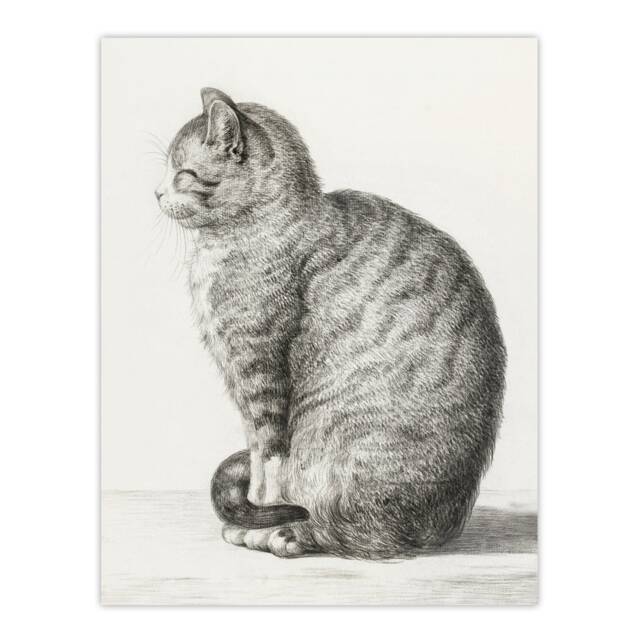 "Sitting Smiling Cat Pencil Drawing Bernard Huge Wall Art Poster Print 24X32"""