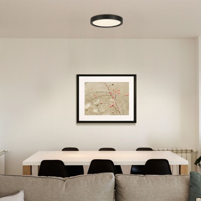 EGLO Basic Idun-E Plastic LED Flush Ceiling Light, Black Black