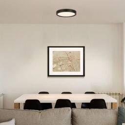 EGLO Basic Idun-E Plastic LED Flush Ceiling Light, Black Black