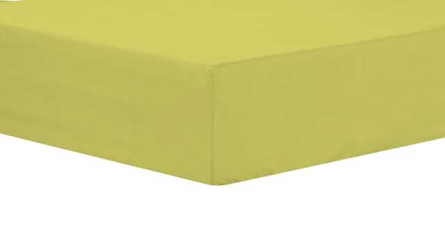 Basics Extra Deep Fitted Sheet in Ochre - Single Yellow Yellow Single