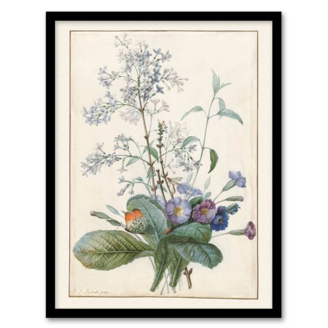 "Bouquet of Flowers with Insects Redoute Vintage Framed Wall Art Print 12X16"""
