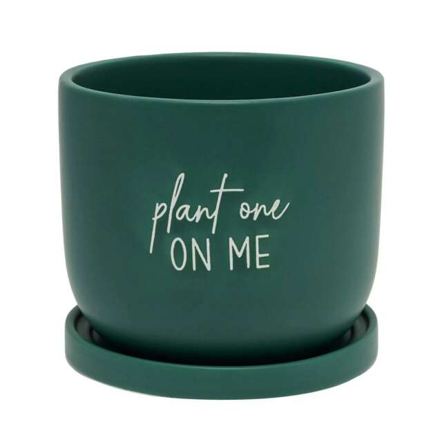 Country Living Ceramic Plant Pot Plant One On Me Green 1