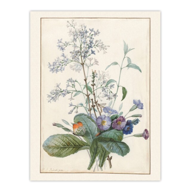 "Bouquet of Flowers with Insects Redoute Vintage Huge Wall Art Poster 24X32"""