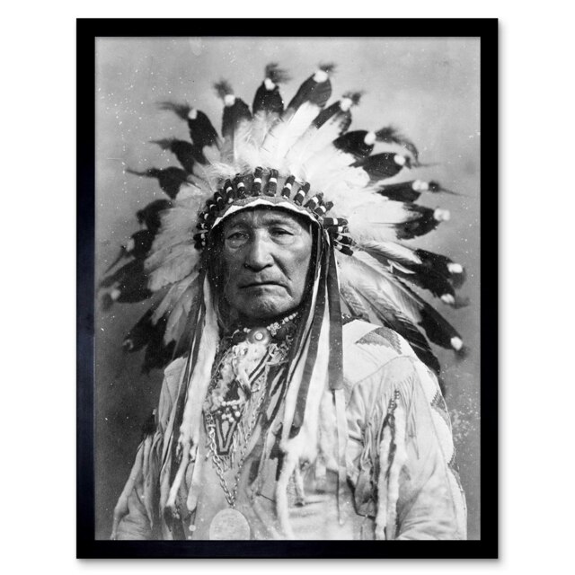 "Vintage Native American Mountain Chief 12x16"" Framed Wall Art Print"