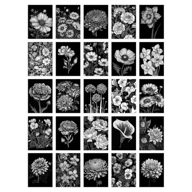 Flower Floral Aesthetic Black White Wall Art Set of 50 Unframed A6 Prints Black