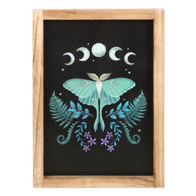 Something Different Wooden Luna Moth Framed Poster - Black/Purple/Green - One Size