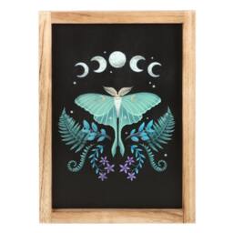 Something Different Wooden Luna Moth Framed Poster - Black/Purple/Green - One Size