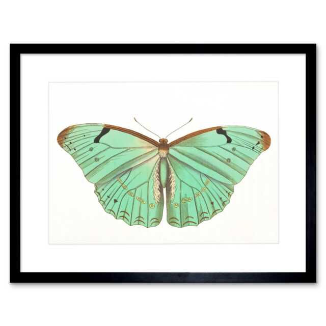 "Turquoise Butterfly Retro Vintage 9x7"" Black Framed Wall Art Print"