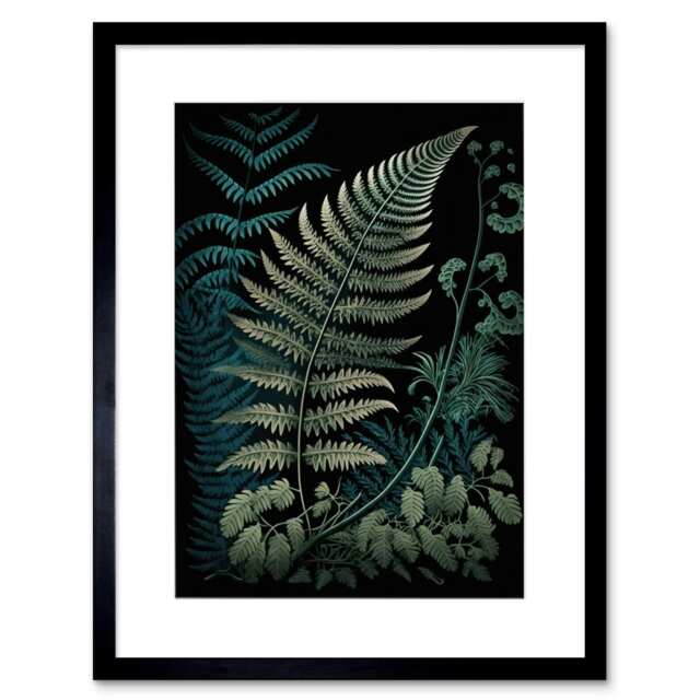 "Detailed Fern Frond Species Botanical 9x7"" Black Framed Wall Art Print"