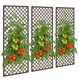 Outsunny Garden Trellis, Decorative Trellis Panels for Climbing, Natural