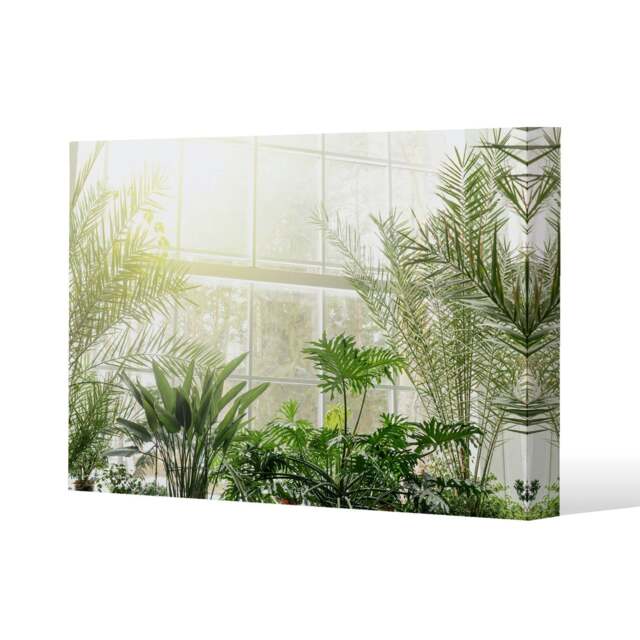 Green plants in botanical gardens (Canvas Print) Cream