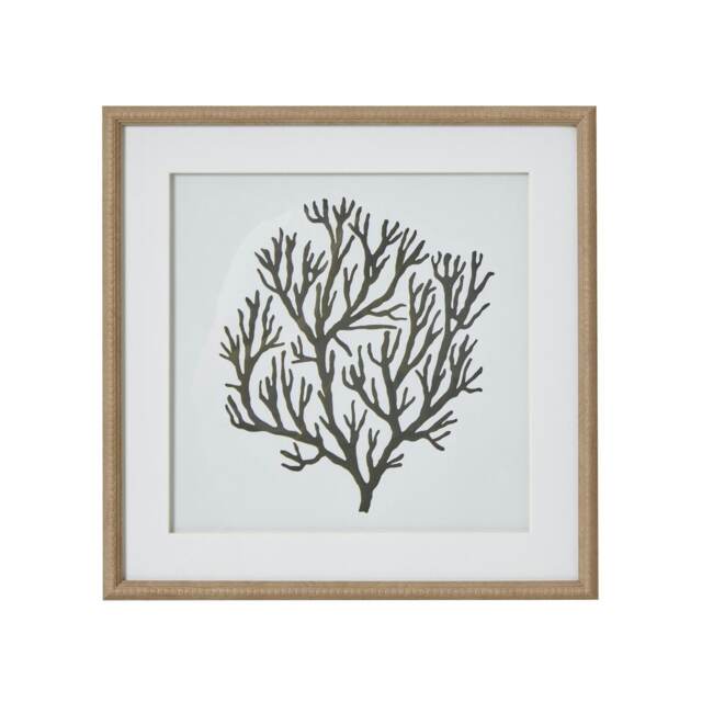 Hill Interiors Atol Coral Framed Art Print - Brown/Grey/White - 40cm x 2cm x 40cm