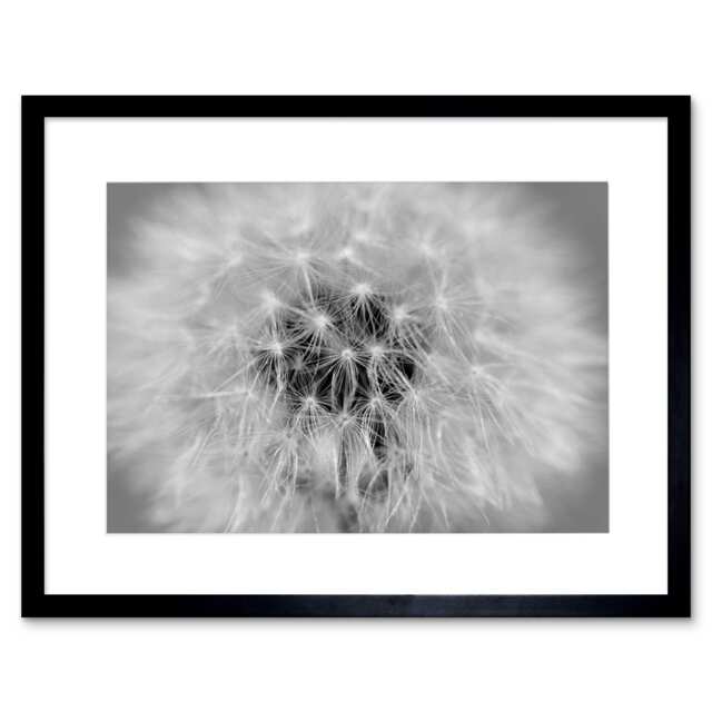 "Photo Black White Dandelion Seeds Home Decor 12x16"" Framed Wall Art Print"
